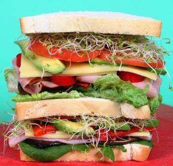 Photo: Sandwich Chefs